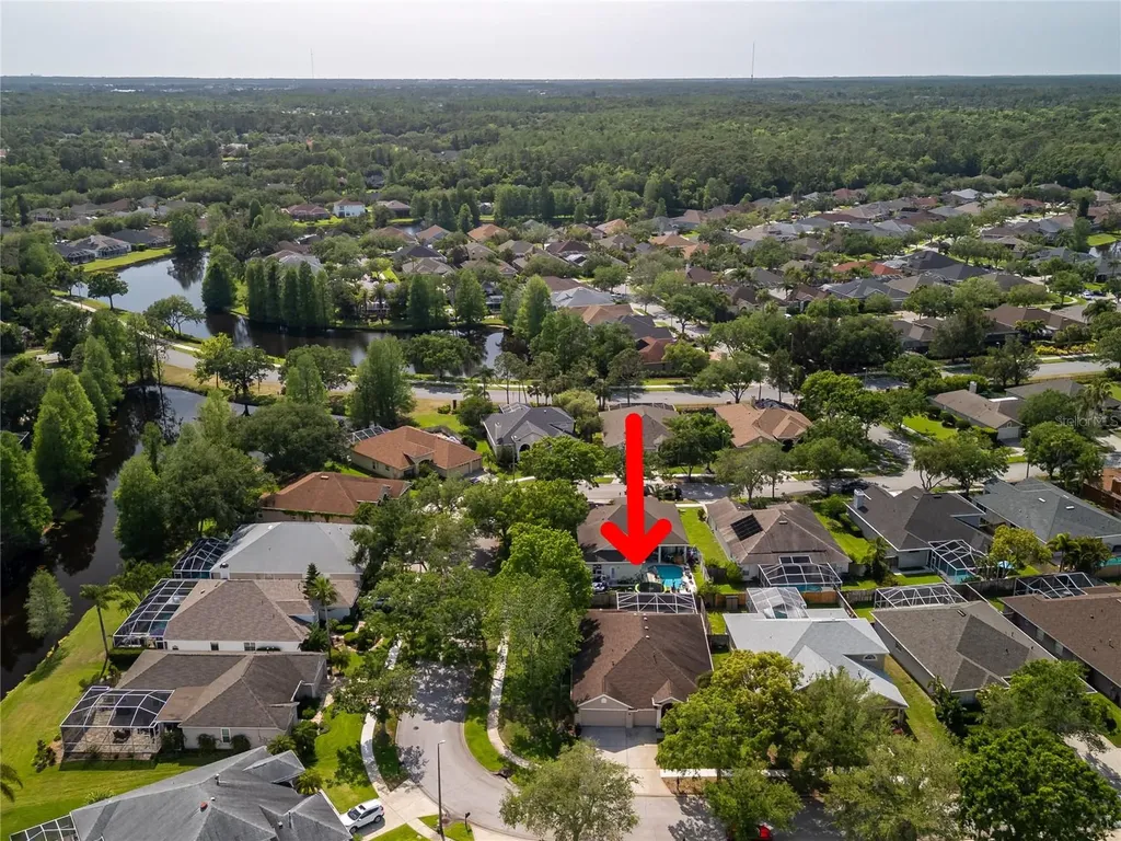 10333 Abbotsford Drive Tampa FL 33626