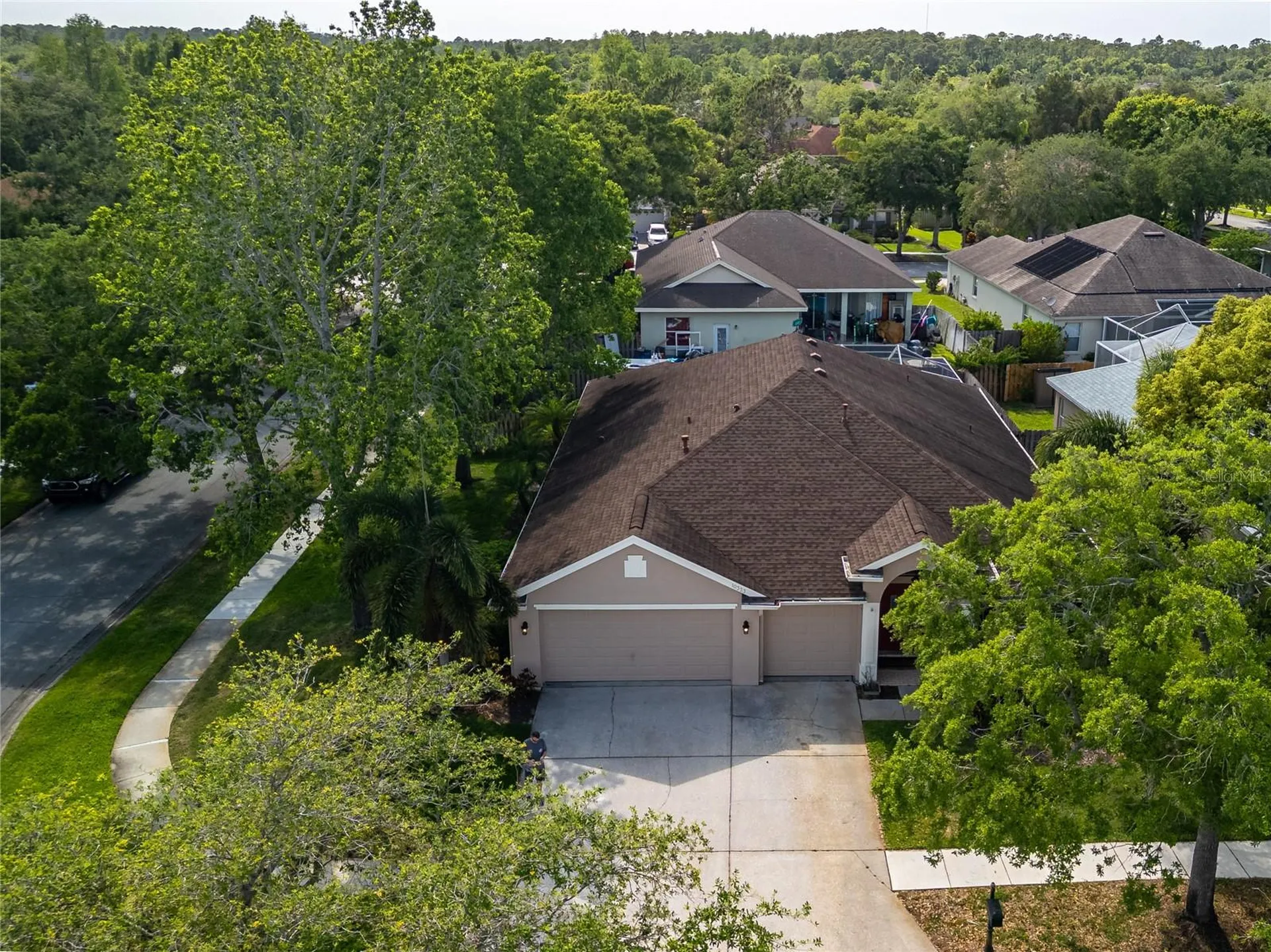 10333 Abbotsford Drive Tampa FL 33626