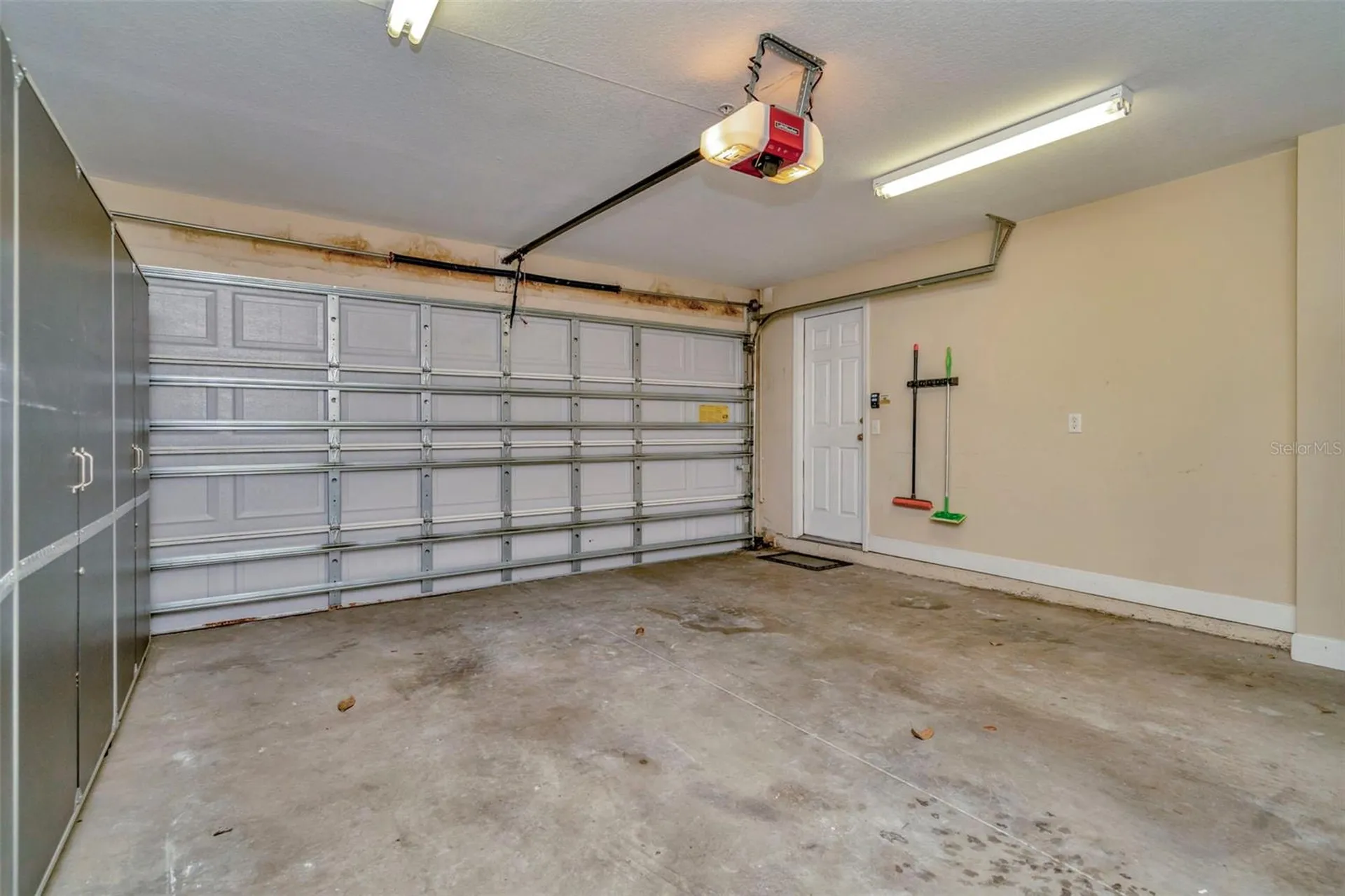 3213 Marcellus Circle Tampa FL 33609