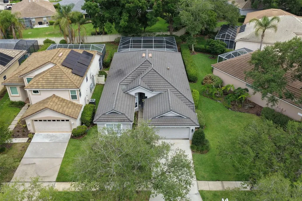 17721 Nathans Drive Tampa FL 33647
