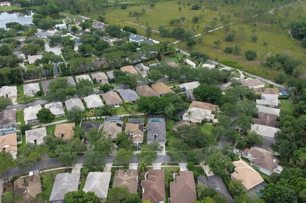 17721 Nathans Drive Tampa FL 33647