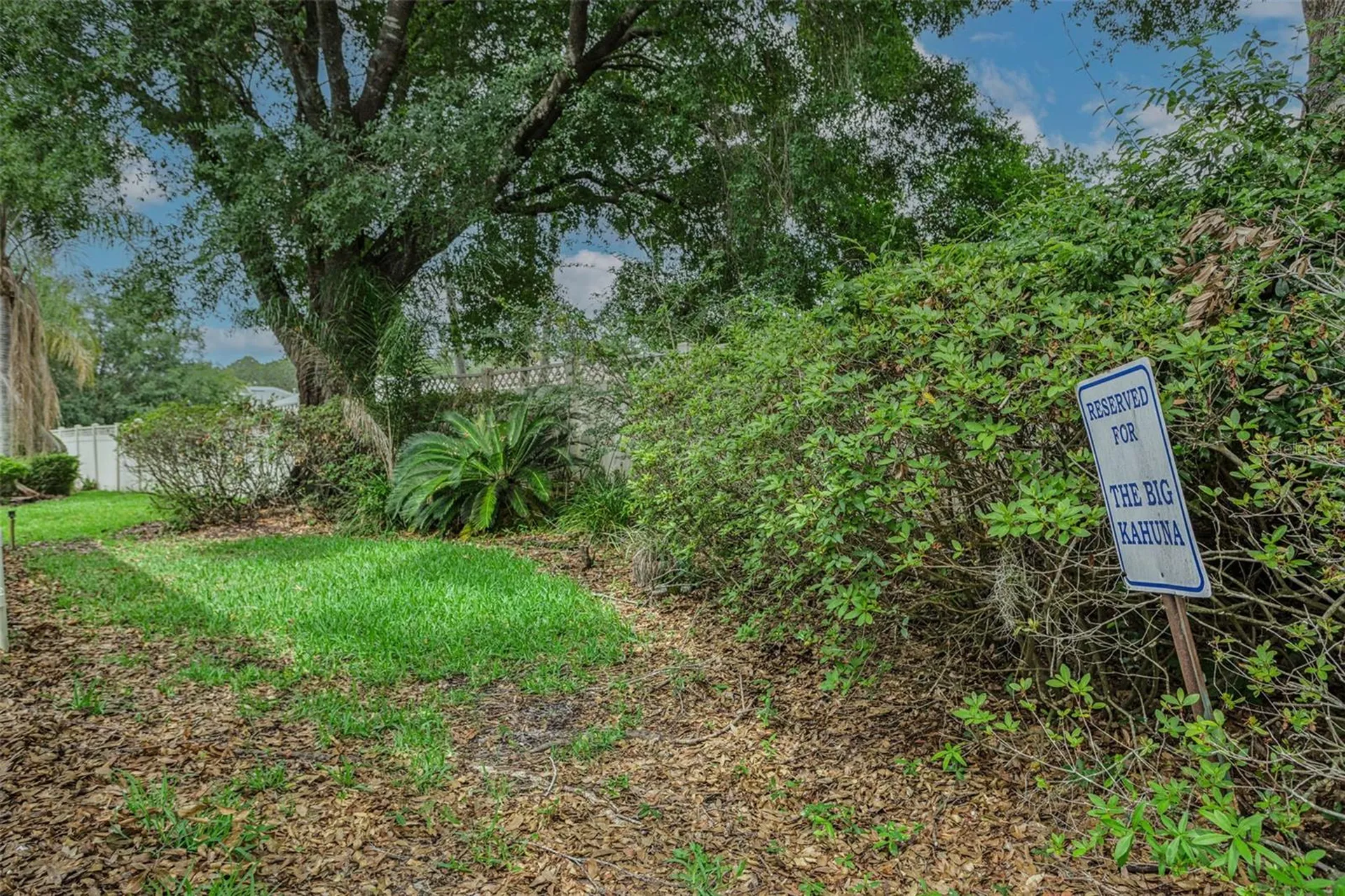 17721 Nathans Drive Tampa FL 33647