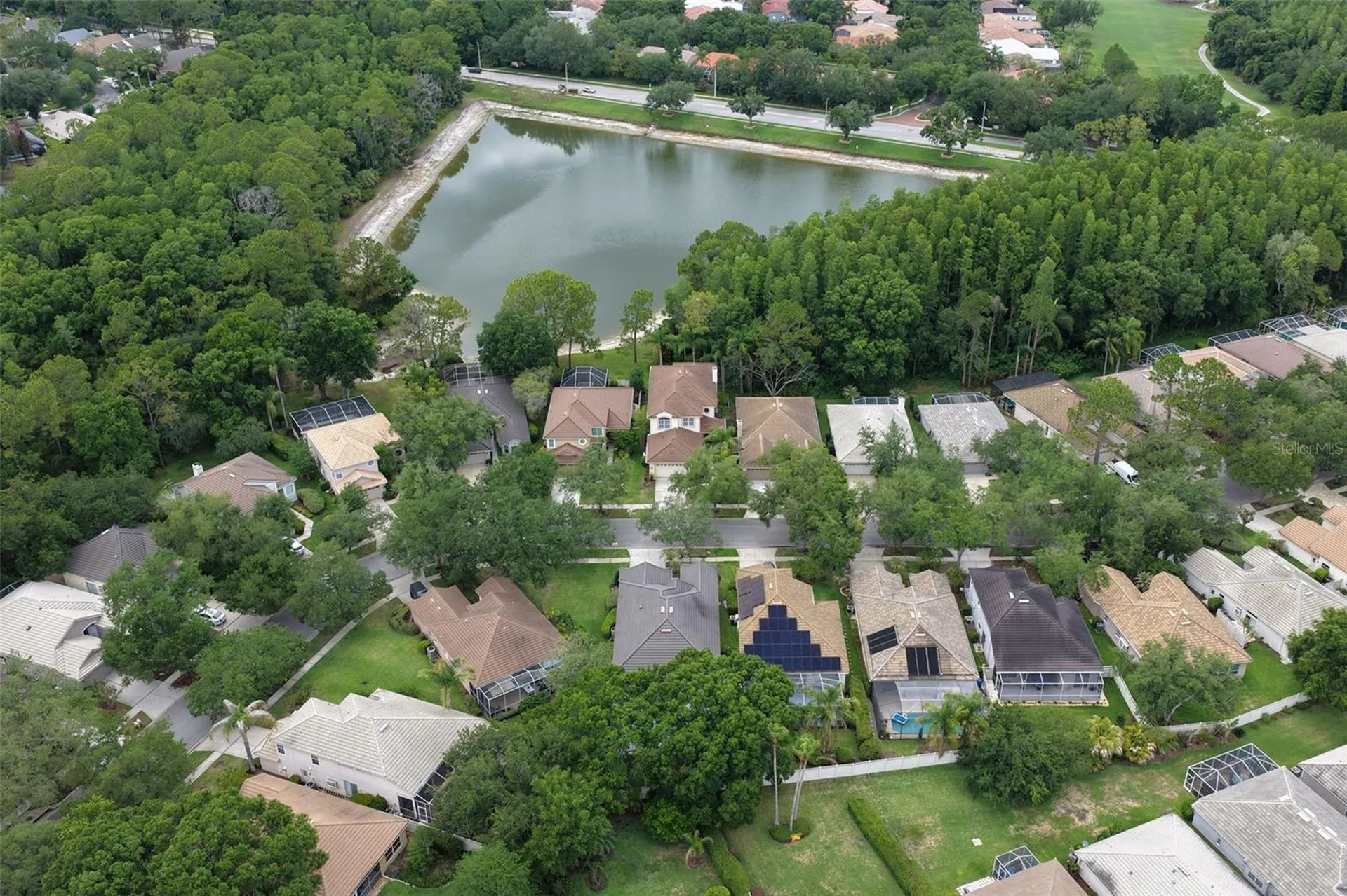 17721 Nathans Drive Tampa FL 33647