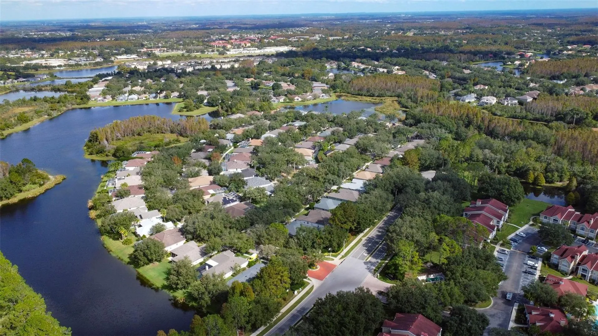 17721 Nathans Drive Tampa FL 33647