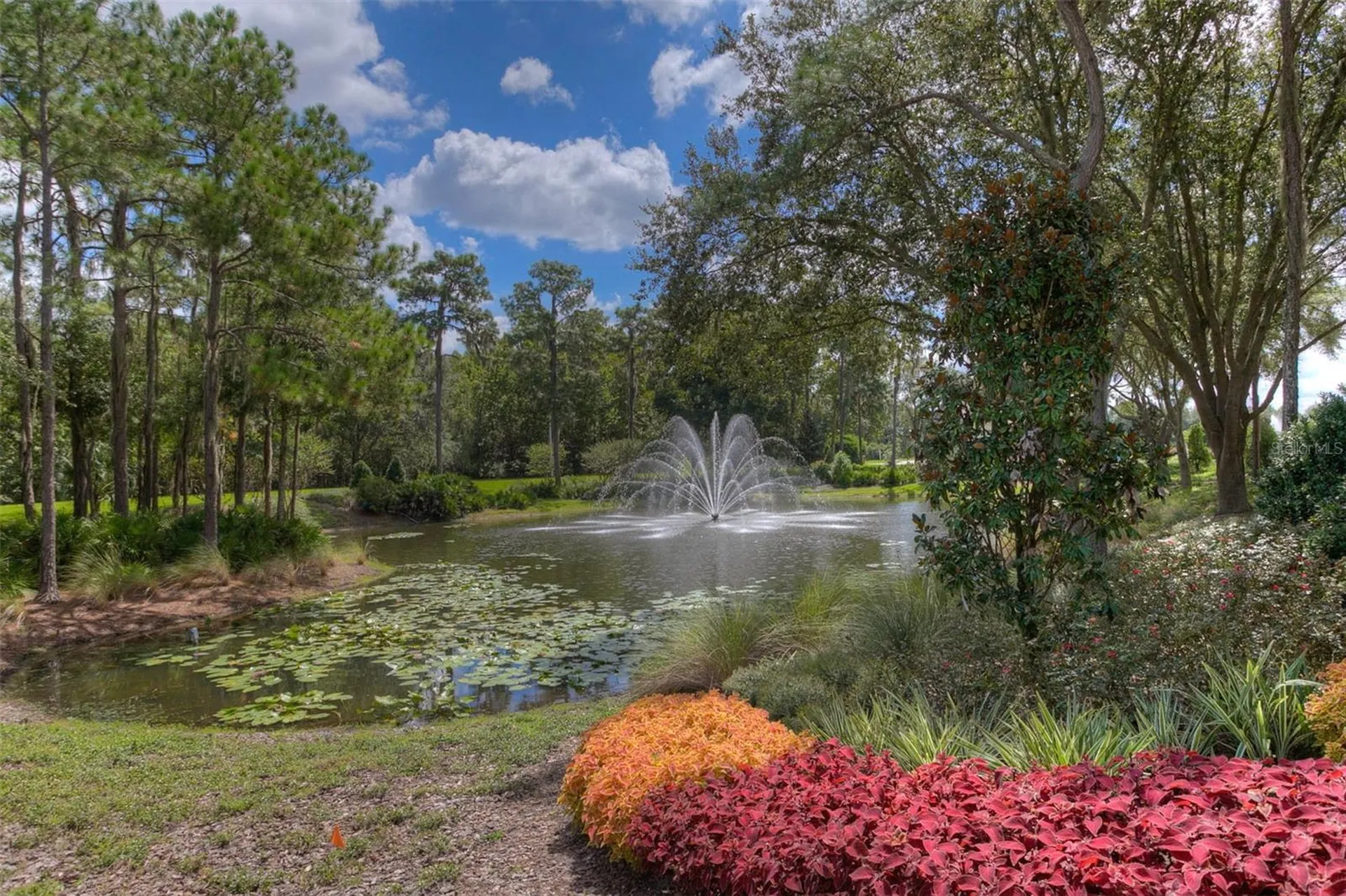 17721 Nathans Drive Tampa FL 33647