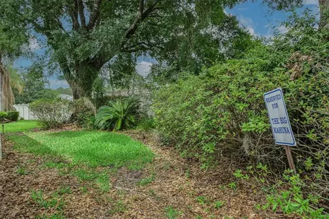 17721 Nathans Drive Tampa FL 33647