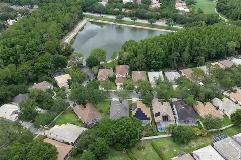17721 Nathans Drive Tampa FL 33647