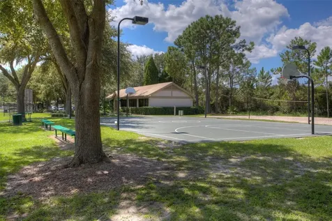 17721 Nathans Drive Tampa FL 33647