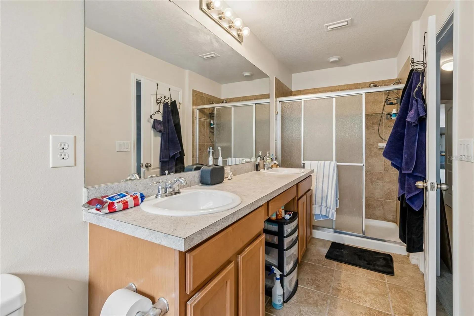 5017 White Sanderling Court Tampa FL 33619