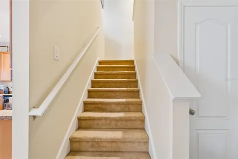 5017 White Sanderling Court Tampa FL 33619