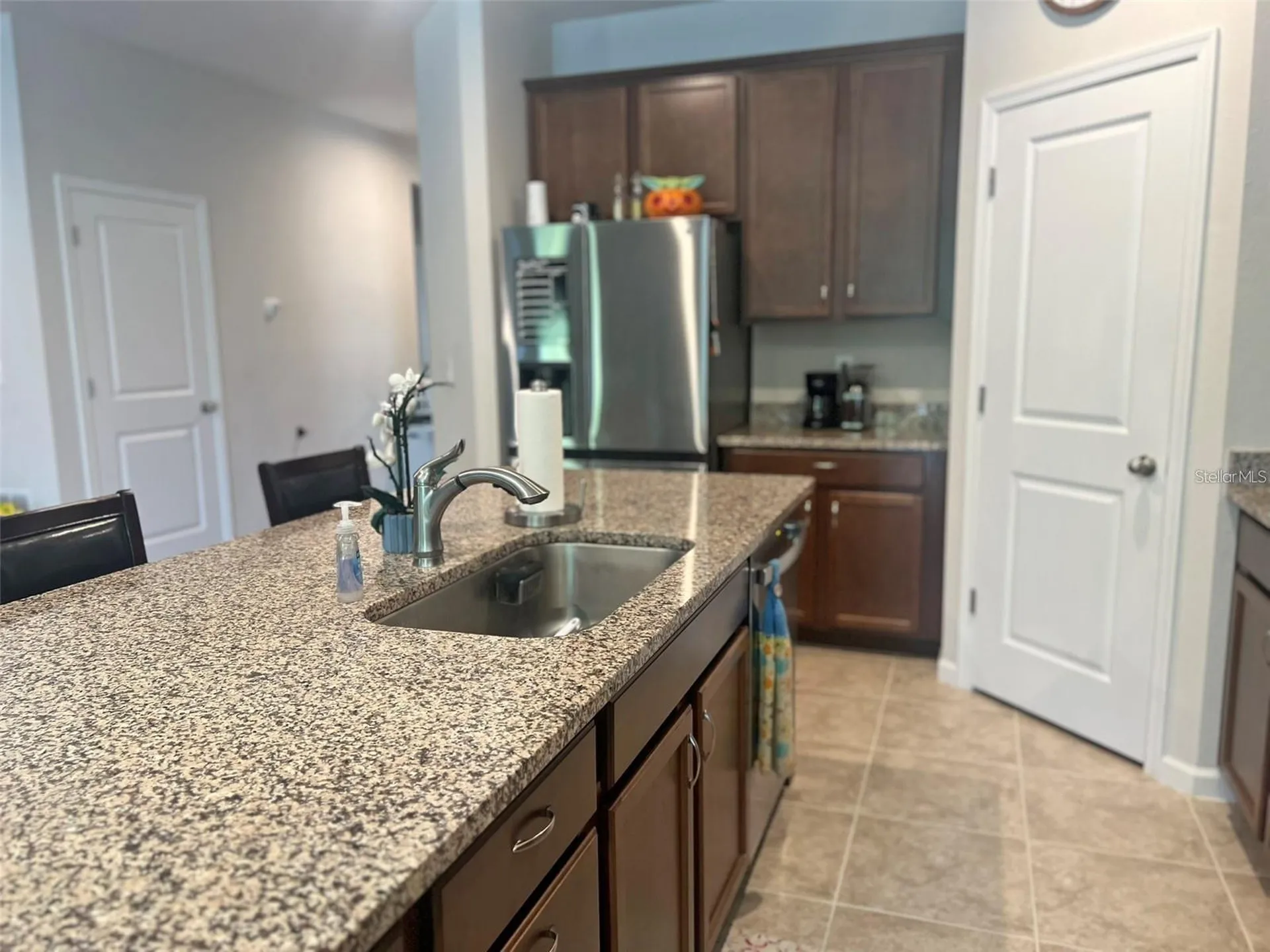 224 August Fern Loop Mount Dora FL 32757
