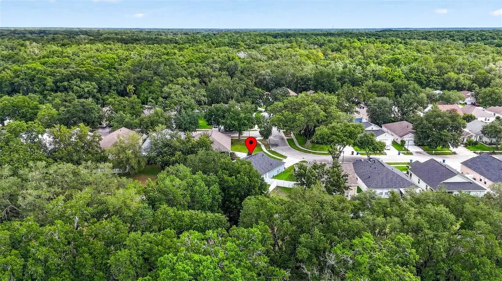 15826 Stags Leap Drive Lutz FL 33559