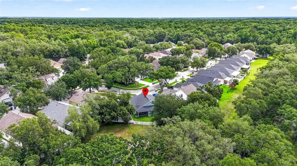 15826 Stags Leap Drive Lutz FL 33559