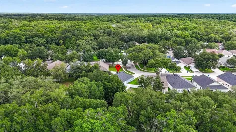 15826 Stags Leap Drive Lutz FL 33559