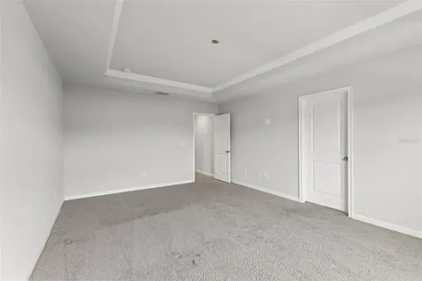 4221 Cloud Hopper Way Lutz FL 33559