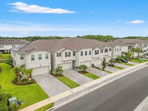 4221 Cloud Hopper Way Lutz FL 33559