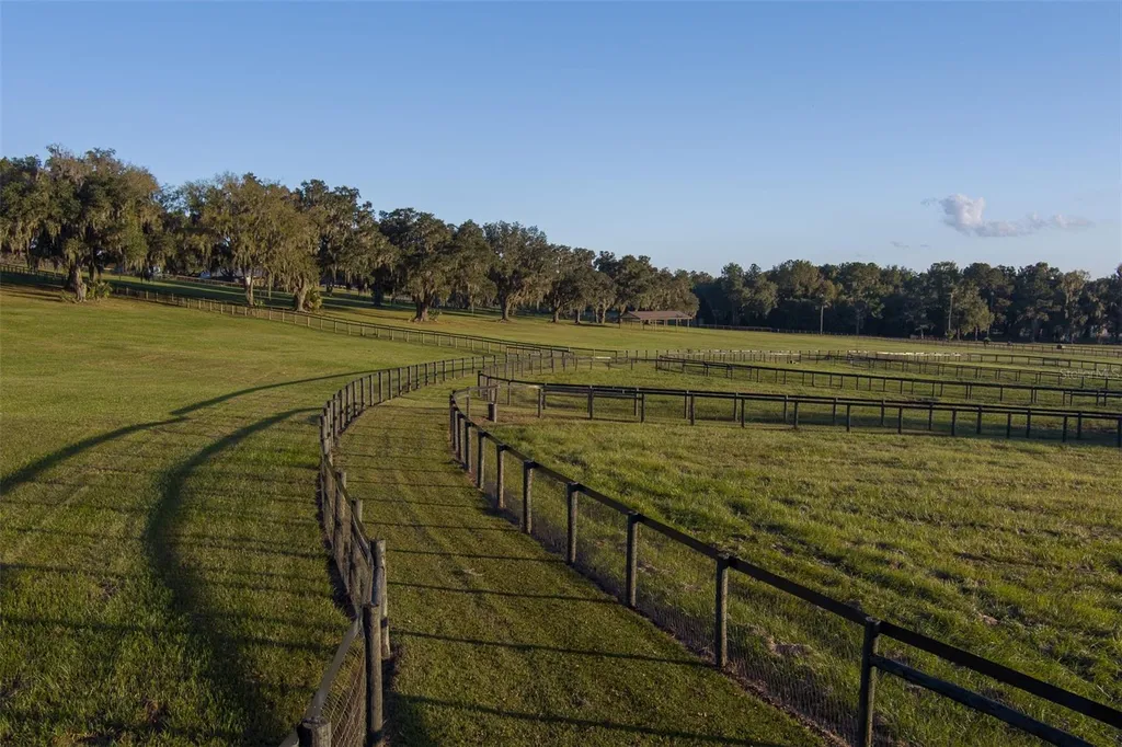 9504 NW Highway 320 Micanopy FL 32667