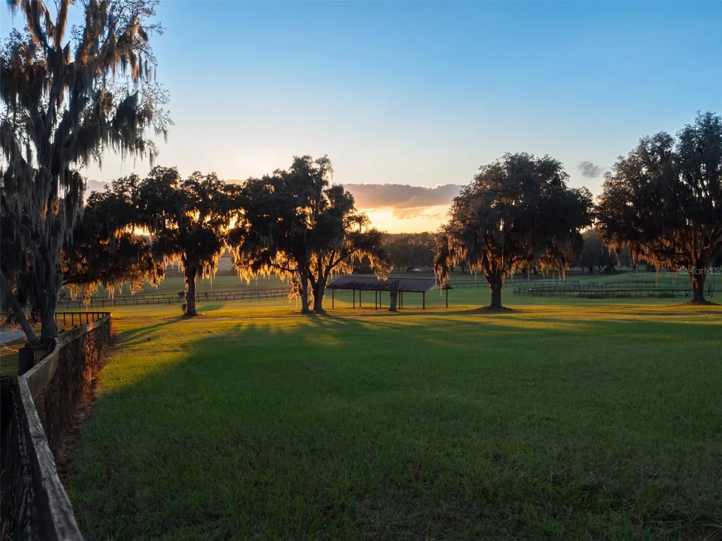 9504 NW Highway 320 Micanopy FL 32667