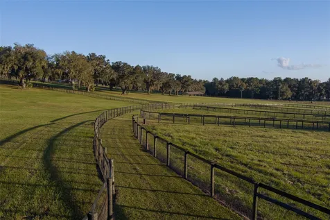 9504 NW Highway 320 Micanopy FL 32667