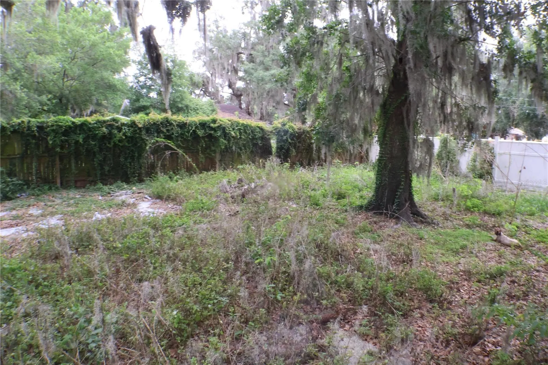 1202 N Ferrell Street Plant City FL 33563
