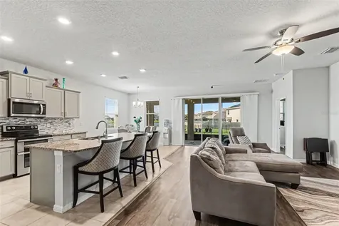 16639 Goose Ribbon Place Wimauma FL 33598
