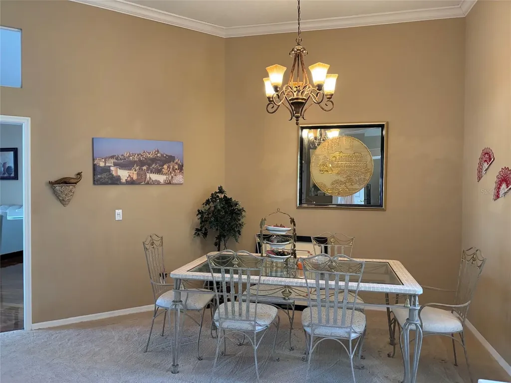 4878 Sherbrook Drive Oldsmar FL 34677