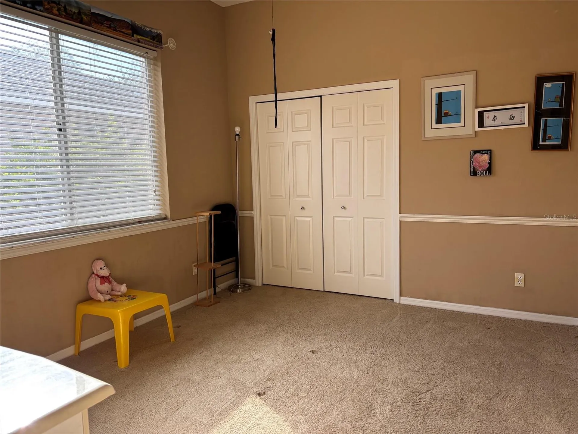 4878 Sherbrook Drive Oldsmar FL 34677