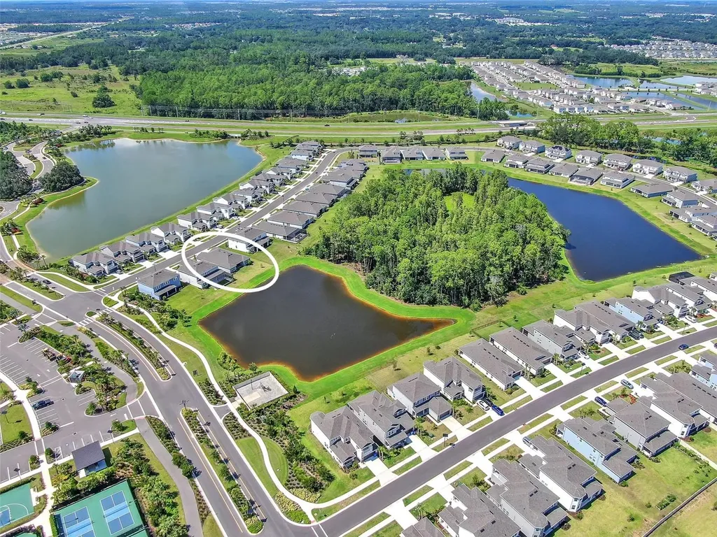 33372 Landsman Loop Wesley Chapel FL 33543