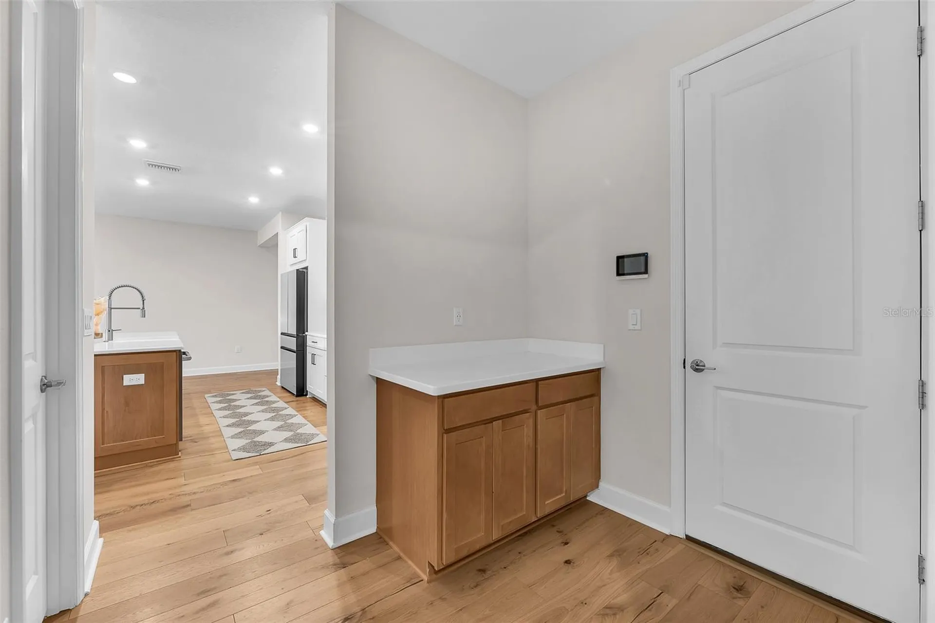 33372 Landsman Loop Wesley Chapel FL 33543