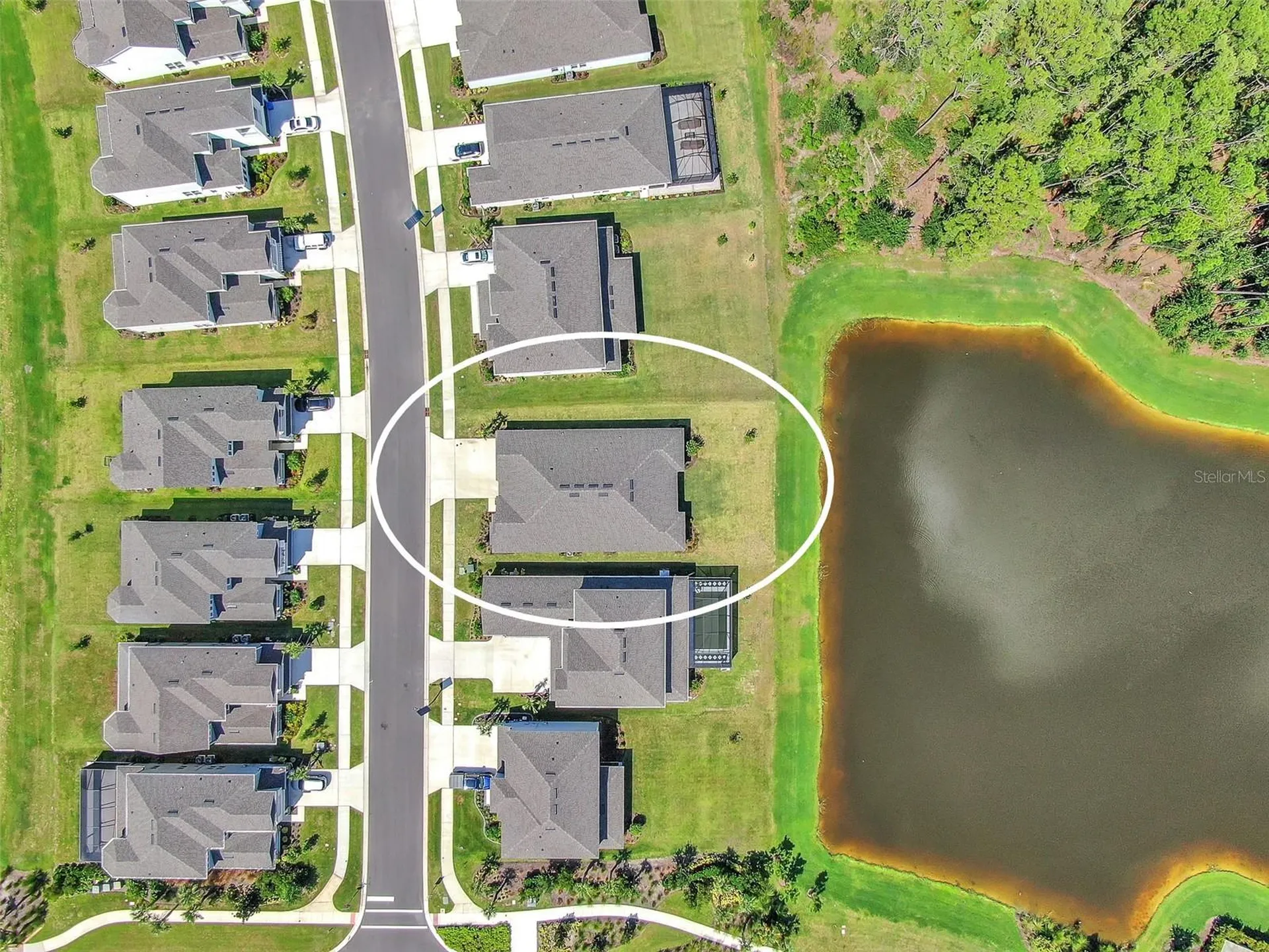 33372 Landsman Loop Wesley Chapel FL 33543