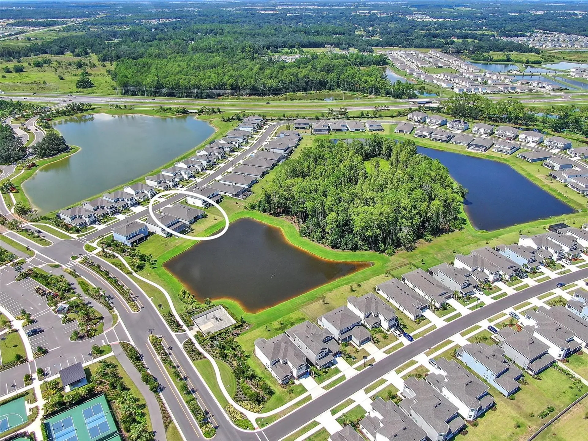 33372 Landsman Loop Wesley Chapel FL 33543