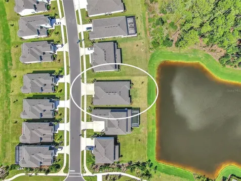 33372 Landsman Loop Wesley Chapel FL 33543