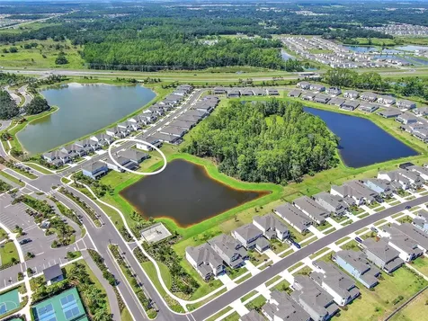 33372 Landsman Loop Wesley Chapel FL 33543