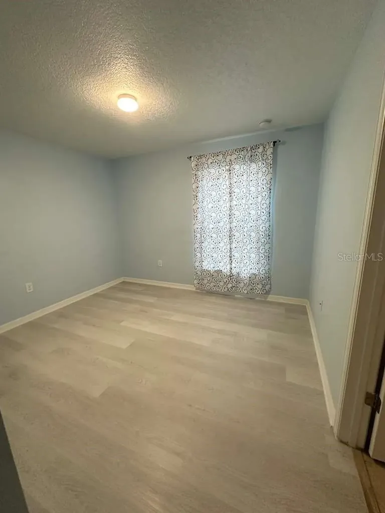 10816 Cabbage Tree Loop Orlando FL 32825