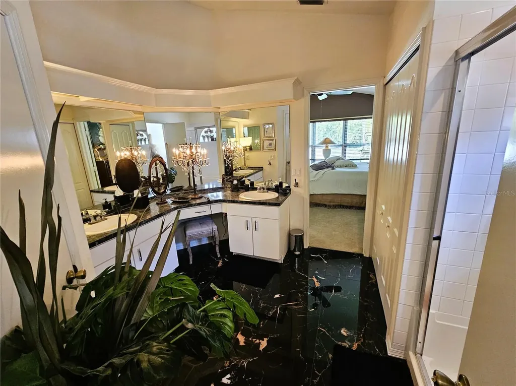 4521 Gulfwinds Drive Lutz FL 33558