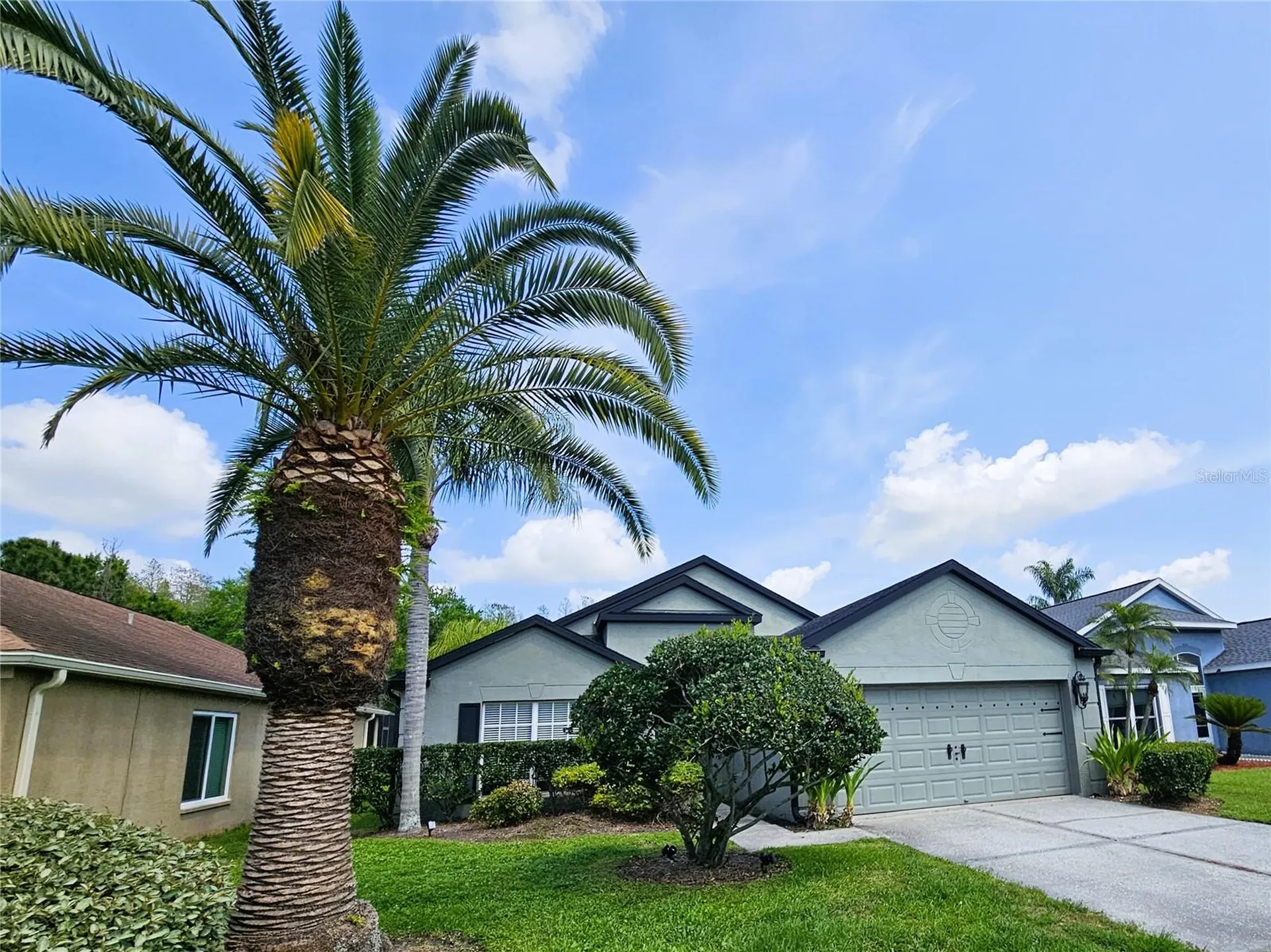 4521 Gulfwinds Drive Lutz FL 33558