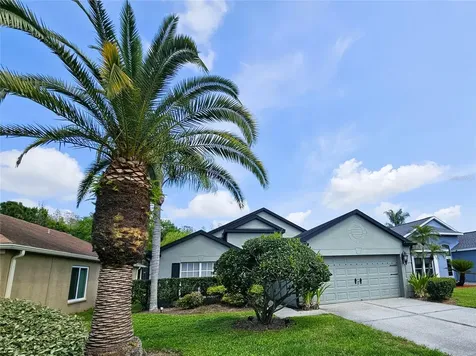 4521 Gulfwinds Drive Lutz FL 33558