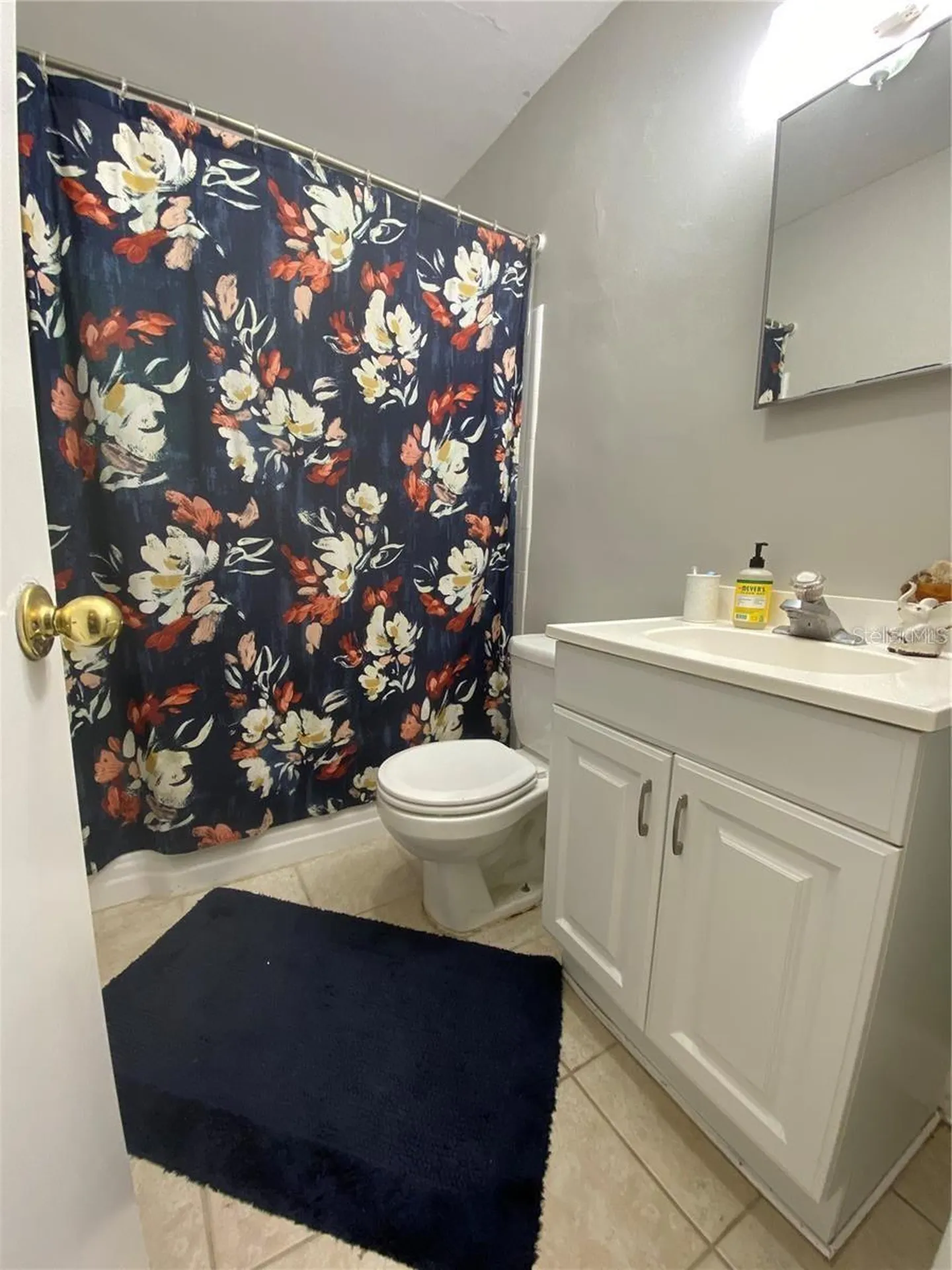 1022 Delaney Park Drive Orlando FL 32806