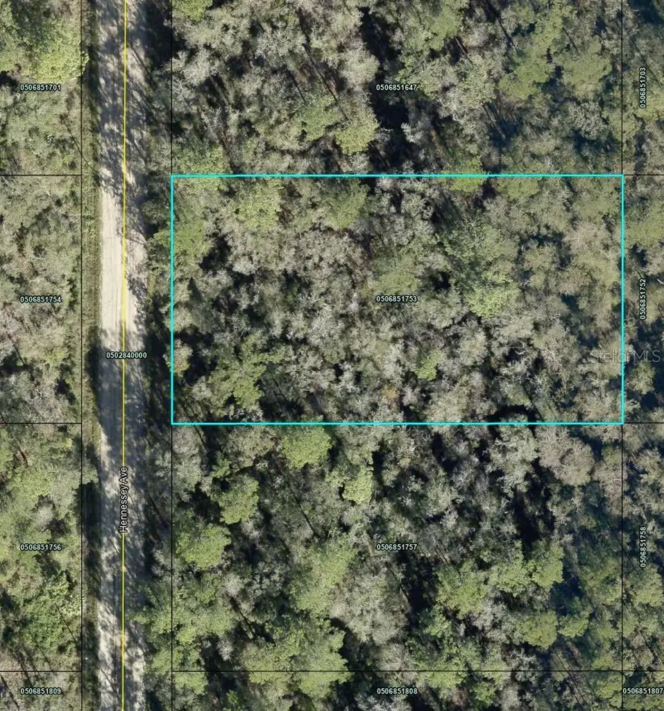 10690 Hennessey Avenue Hastings FL 32145