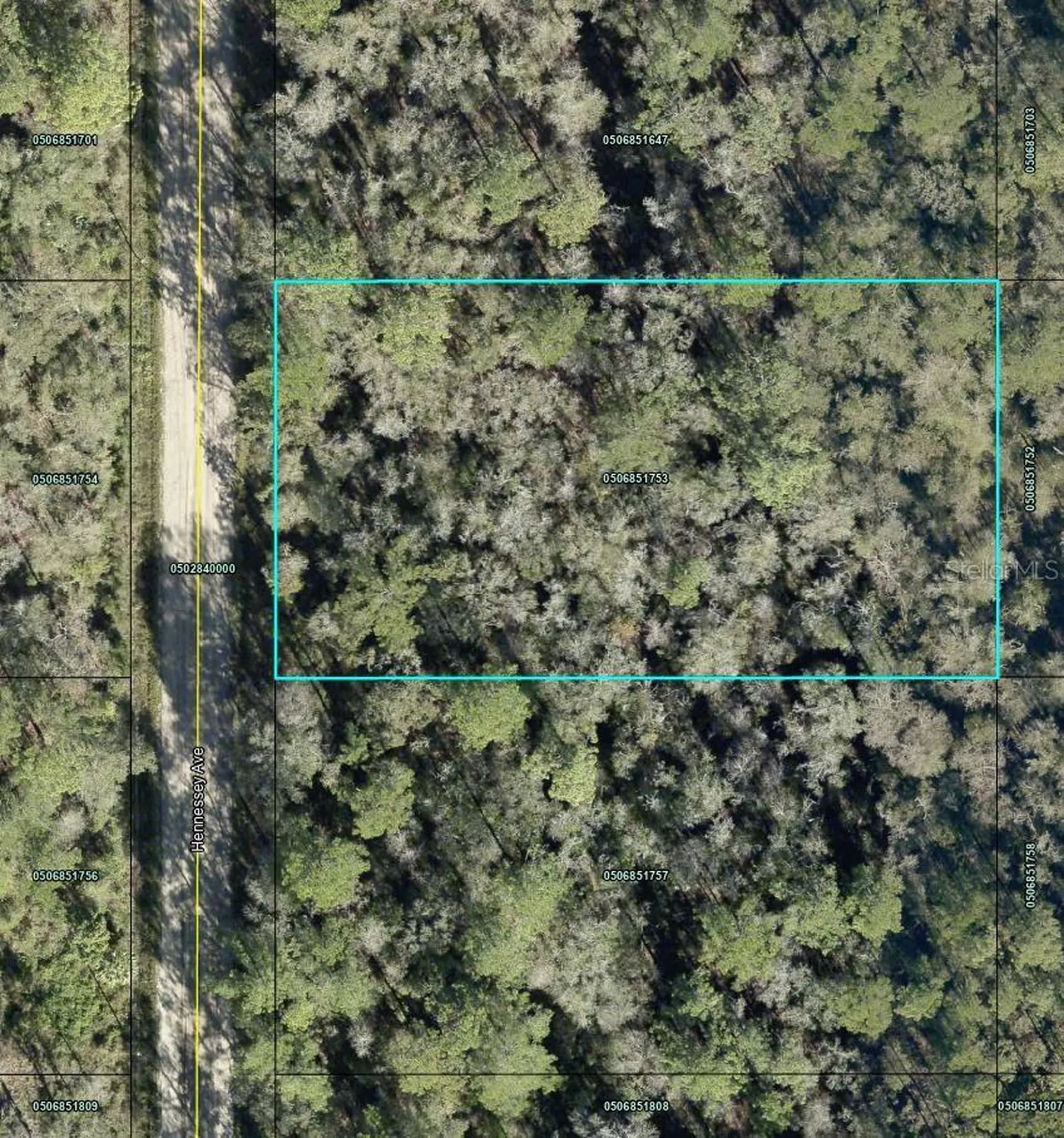 10690 Hennessey Avenue Hastings FL 32145