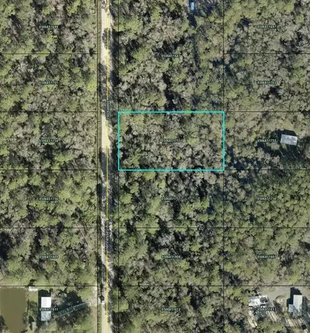 10690 Hennessey Avenue Hastings FL 32145