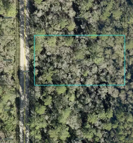 10690 Hennessey Avenue Hastings FL 32145