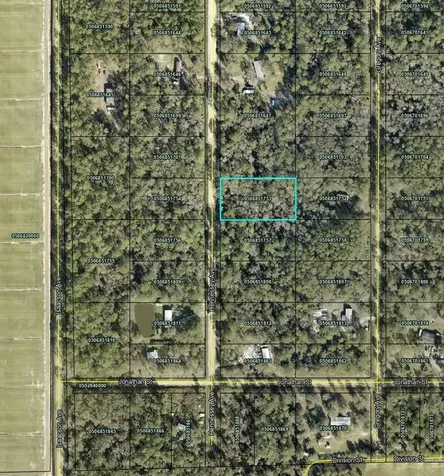 10690 Hennessey Avenue Hastings FL 32145