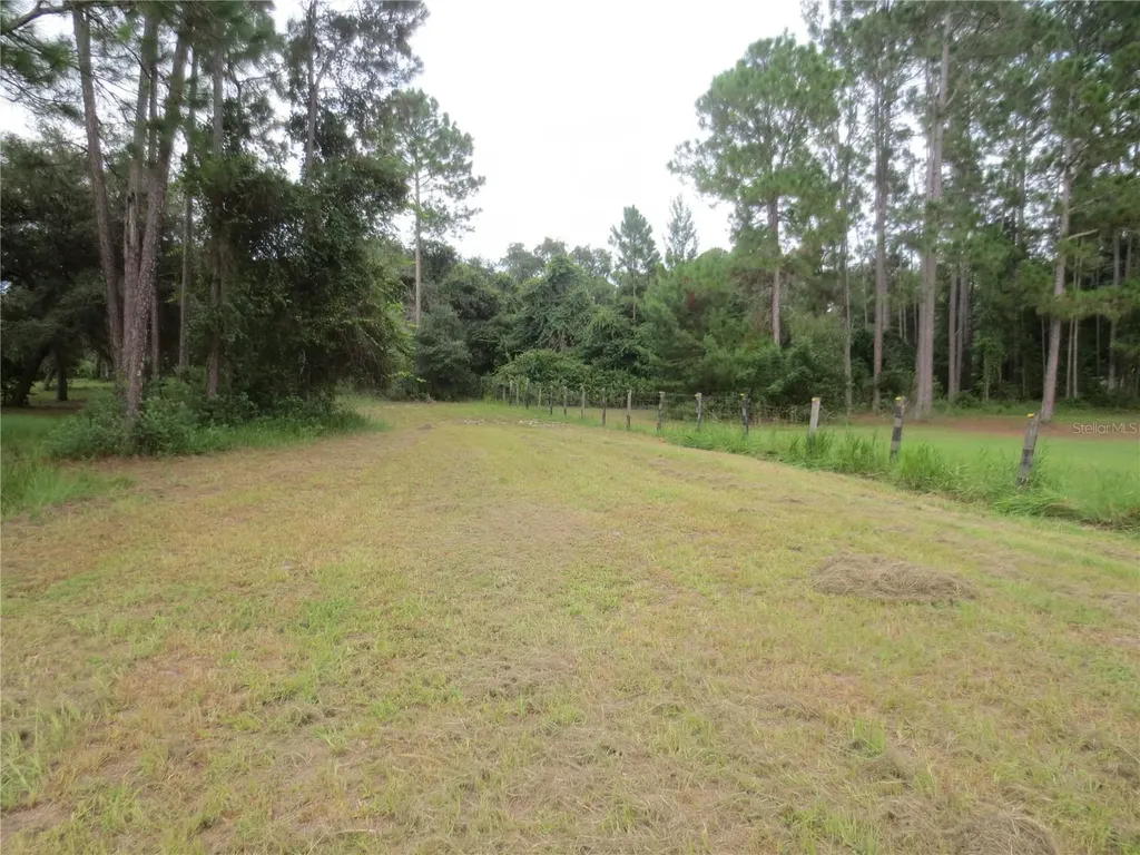 5995 SE 183rd Avenue Road Ocklawaha FL 32179