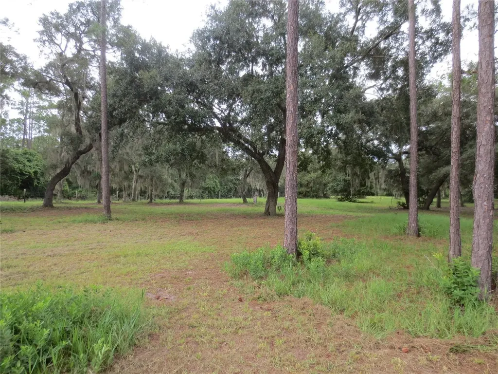 5995 SE 183rd Avenue Road Ocklawaha FL 32179