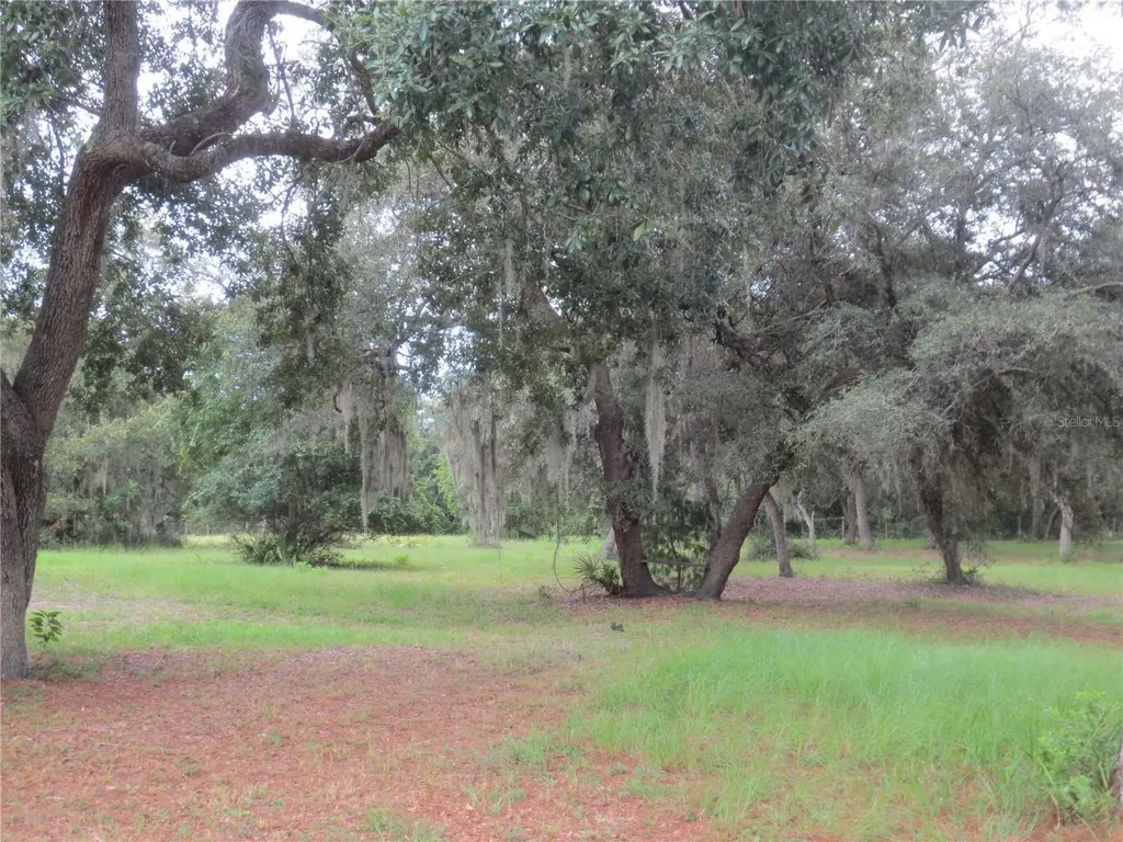 5995 SE 183rd Avenue Road Ocklawaha FL 32179