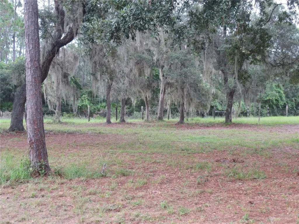 5995 SE 183rd Avenue Road Ocklawaha FL 32179