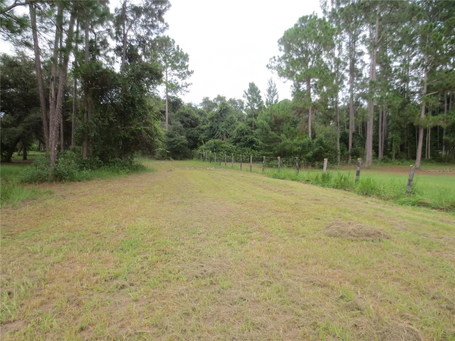 5995 SE 183rd Avenue Road Ocklawaha FL 32179