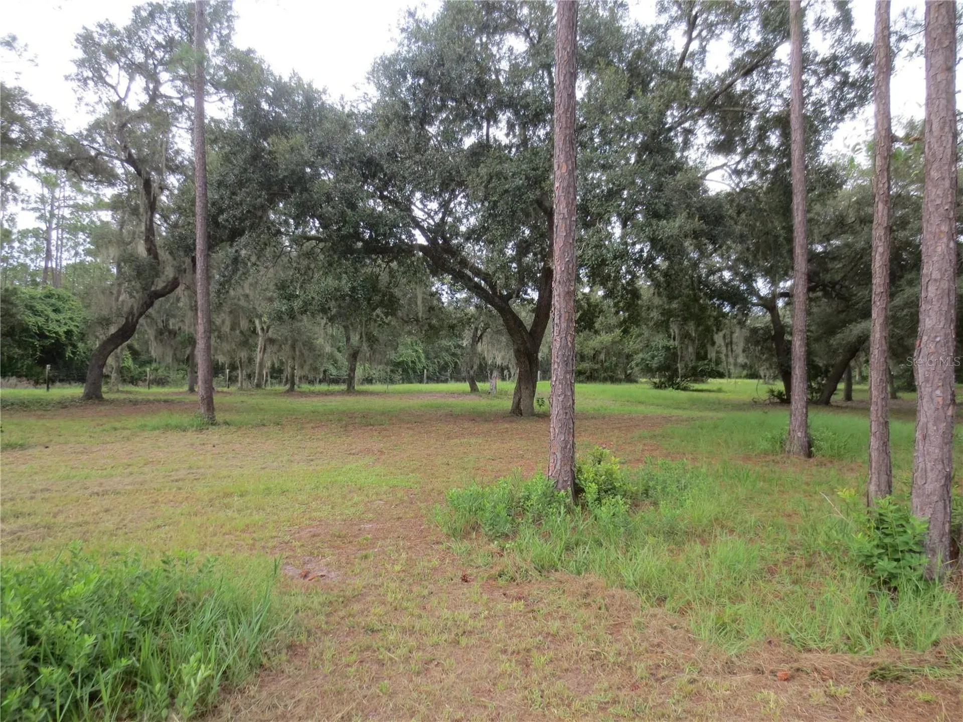 5995 SE 183rd Avenue Road Ocklawaha FL 32179