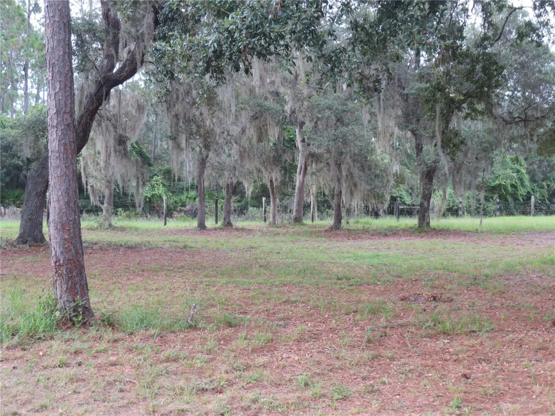 5995 SE 183rd Avenue Road Ocklawaha FL 32179